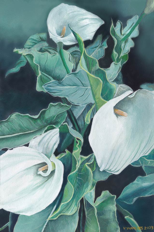 South African Artist Fine Art Wall Art Flowers Moody Delicate Lilies