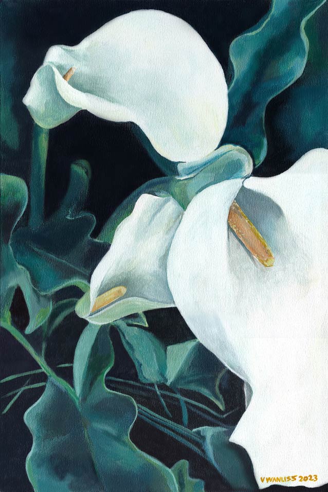 South African Artist Fine Art Wall Art Flowers Moody Delicate Lilies