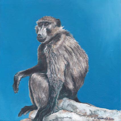 South African Artist Fine Art Wall Art Wildlife Popart