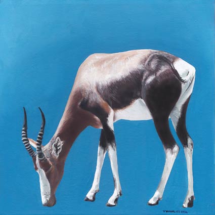 South African Artist Fine Art Wall Art Flowers Wildlife Popart