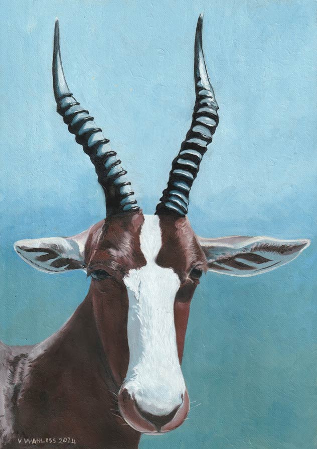 South African Artist Fine Art Wall Art Flowers Moody Delicate Lilies