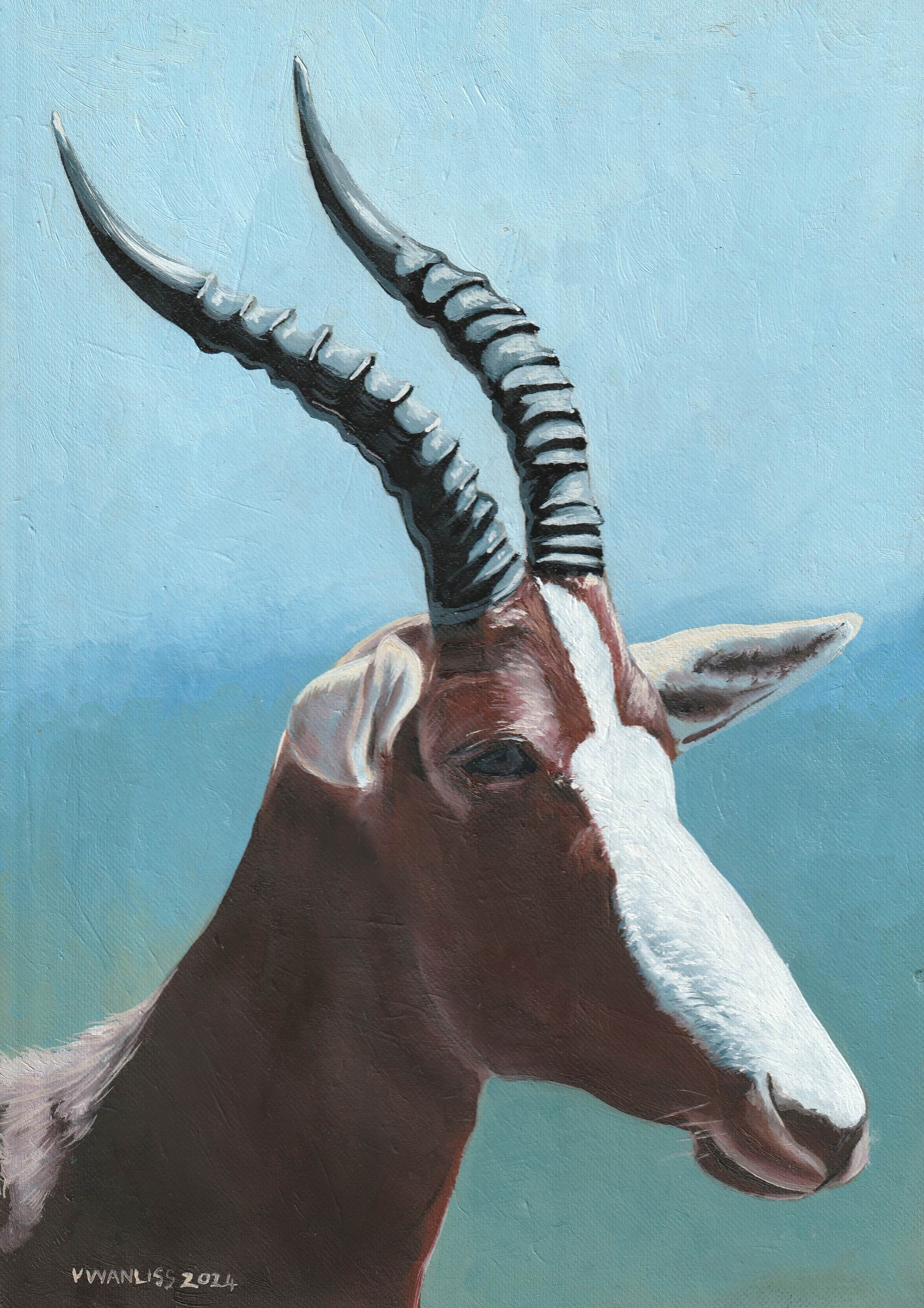 South African Artist Fine Art Wall Art Flowers Moody Delicate Lilies