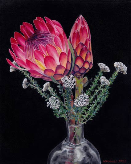 South African Artist Fine Art Wall Art Flowers Proteas