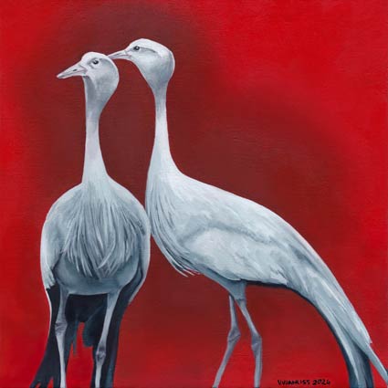 South African Artist Fine Art Wall Art Wildlife Popart