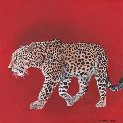 South African Artist Fine Art Wall Art Wildlife Popart