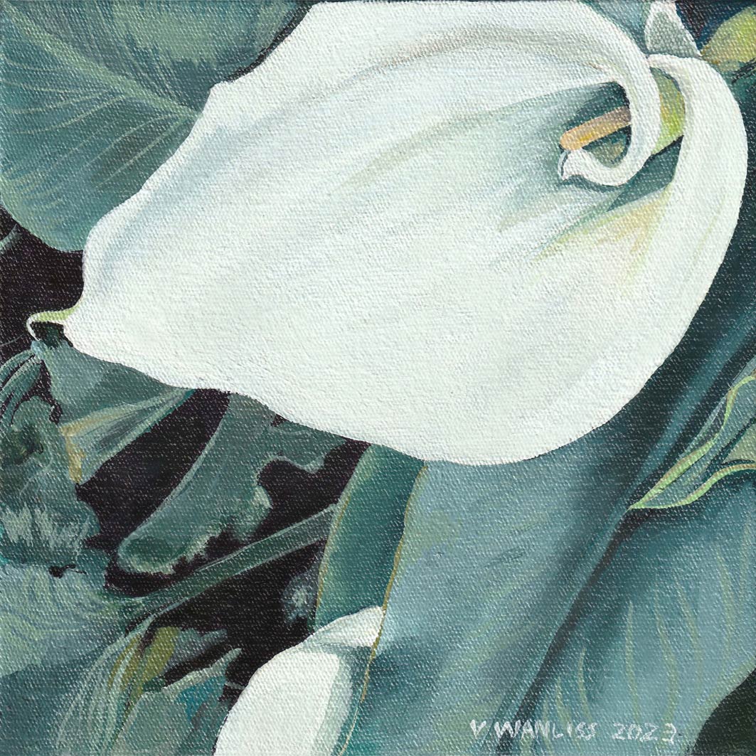 South African Artist Fine Art Wall Art Flowers Moody Delicate Lilies