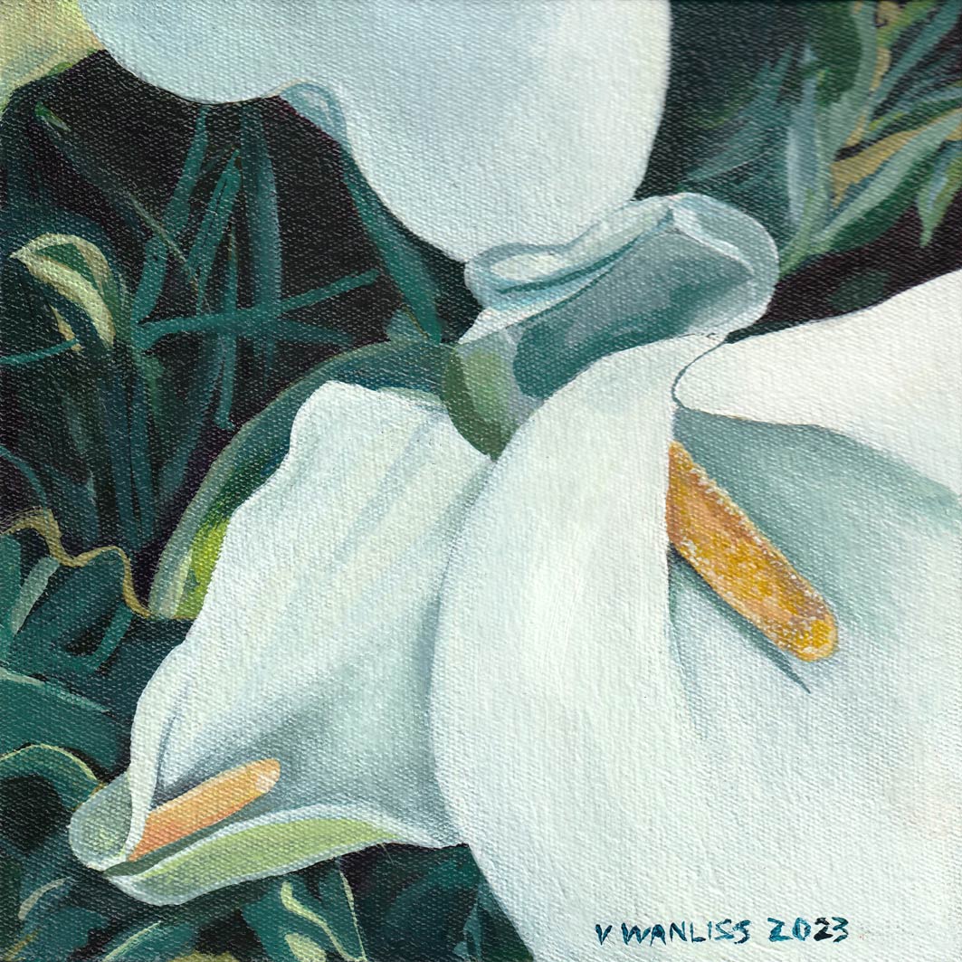 South African Artist Fine Art Wall Art Flowers Moody Delicate Lilies