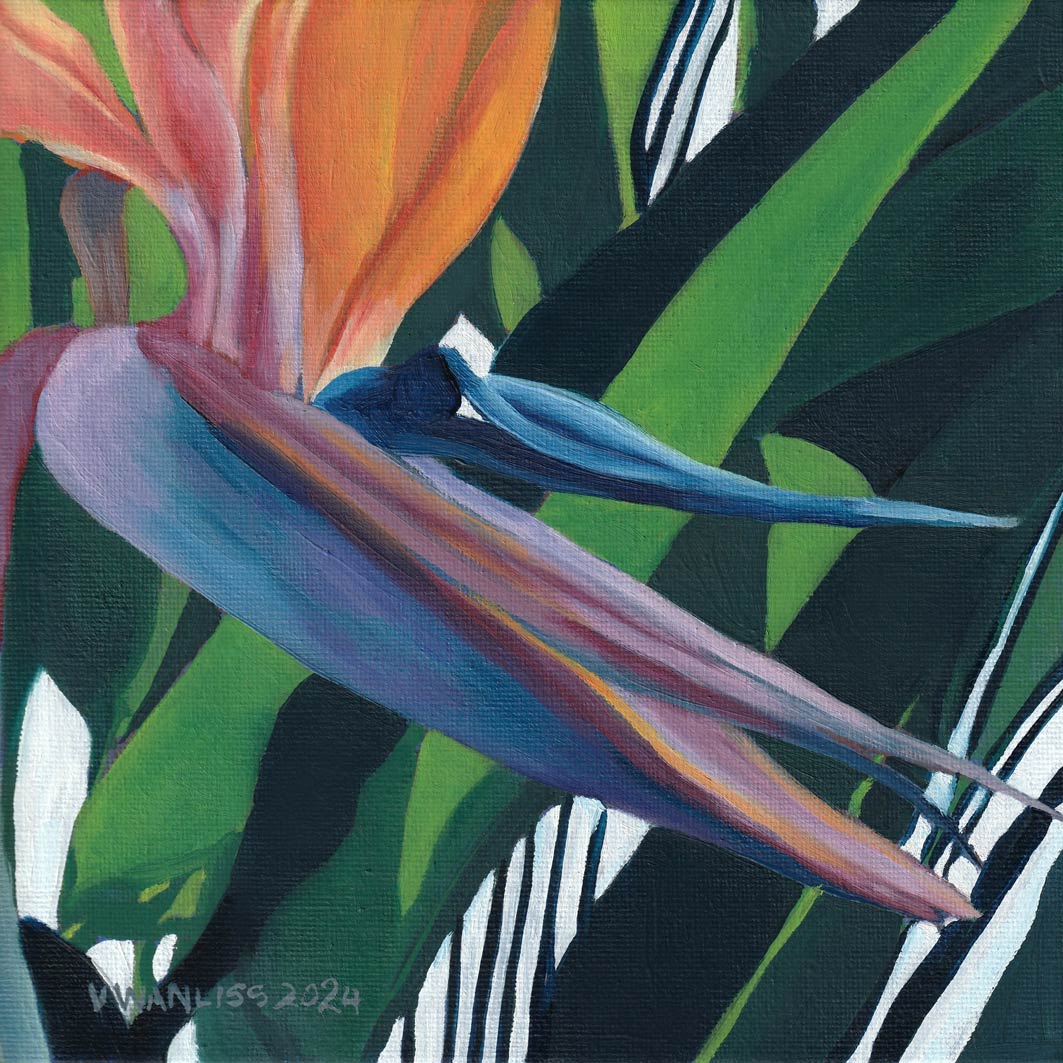 South African Artist Fine Art Wall Art Flowers Moody Delicate Lilies