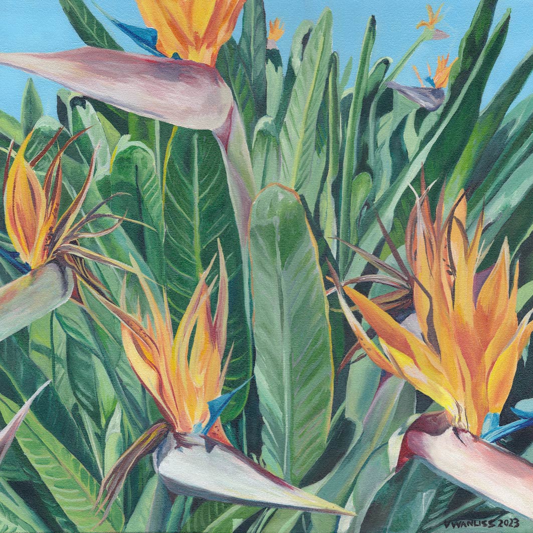 South African Artist Wall Art Flowers Bright Tropical Vibrant Bird of Paradise