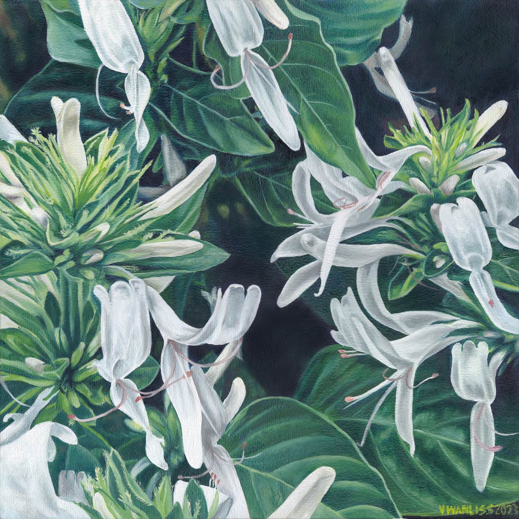 South African Artist Wall Art Flowers Kirstenbosch Dewy